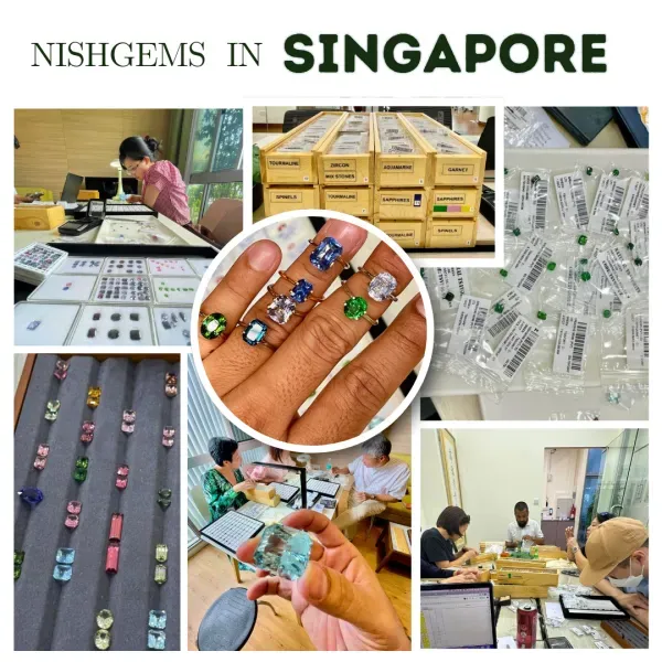 NISHGEMS IN SINGAPORE 2025 